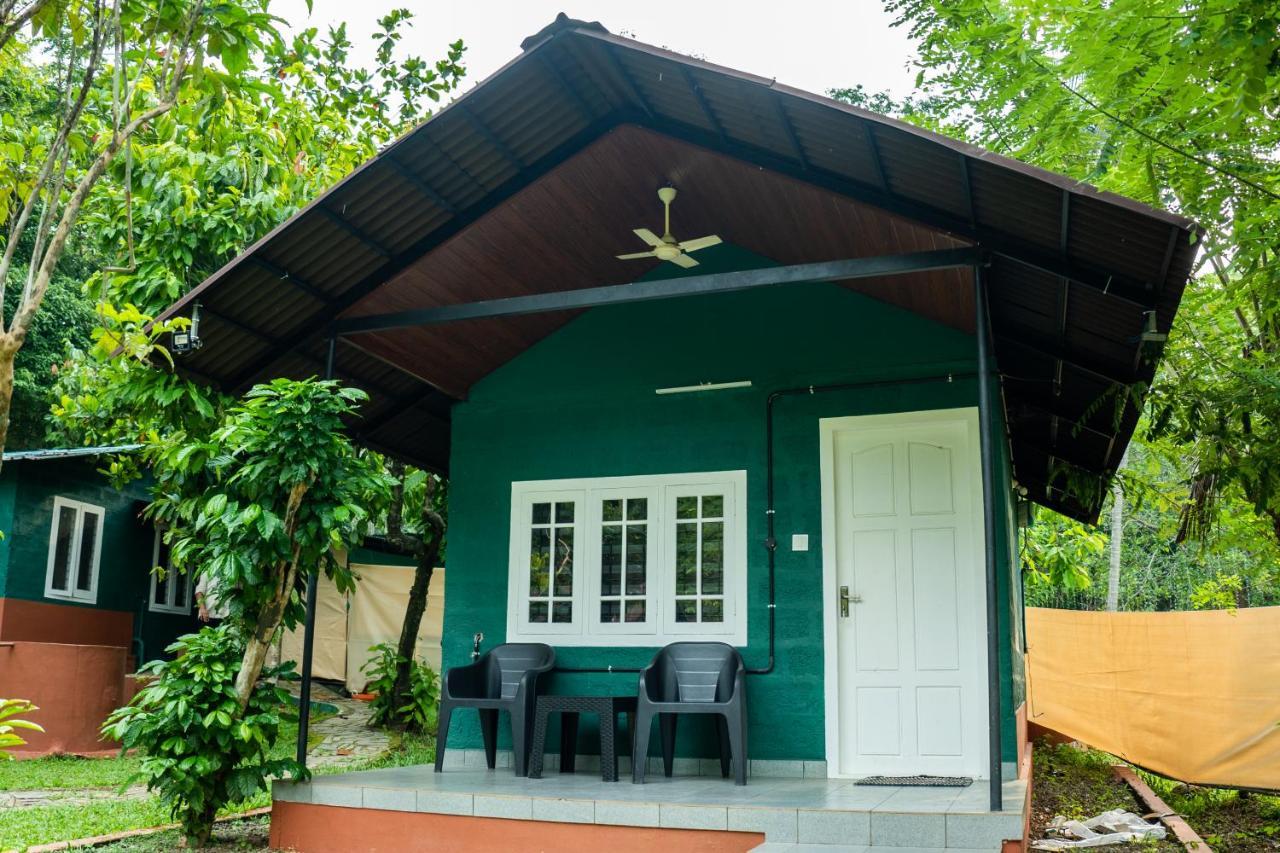 The Nest Thattekad Thattakād Zewnętrze zdjęcie