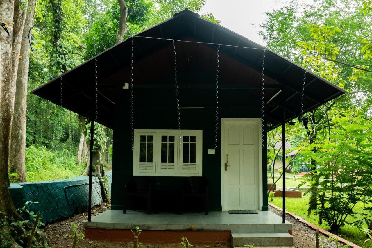 The Nest Thattekad Thattakād Zewnętrze zdjęcie